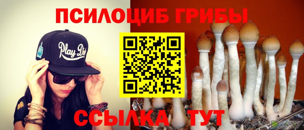 Печора  Псилоцибиновые грибы прущие грибы  Вход с VPN 